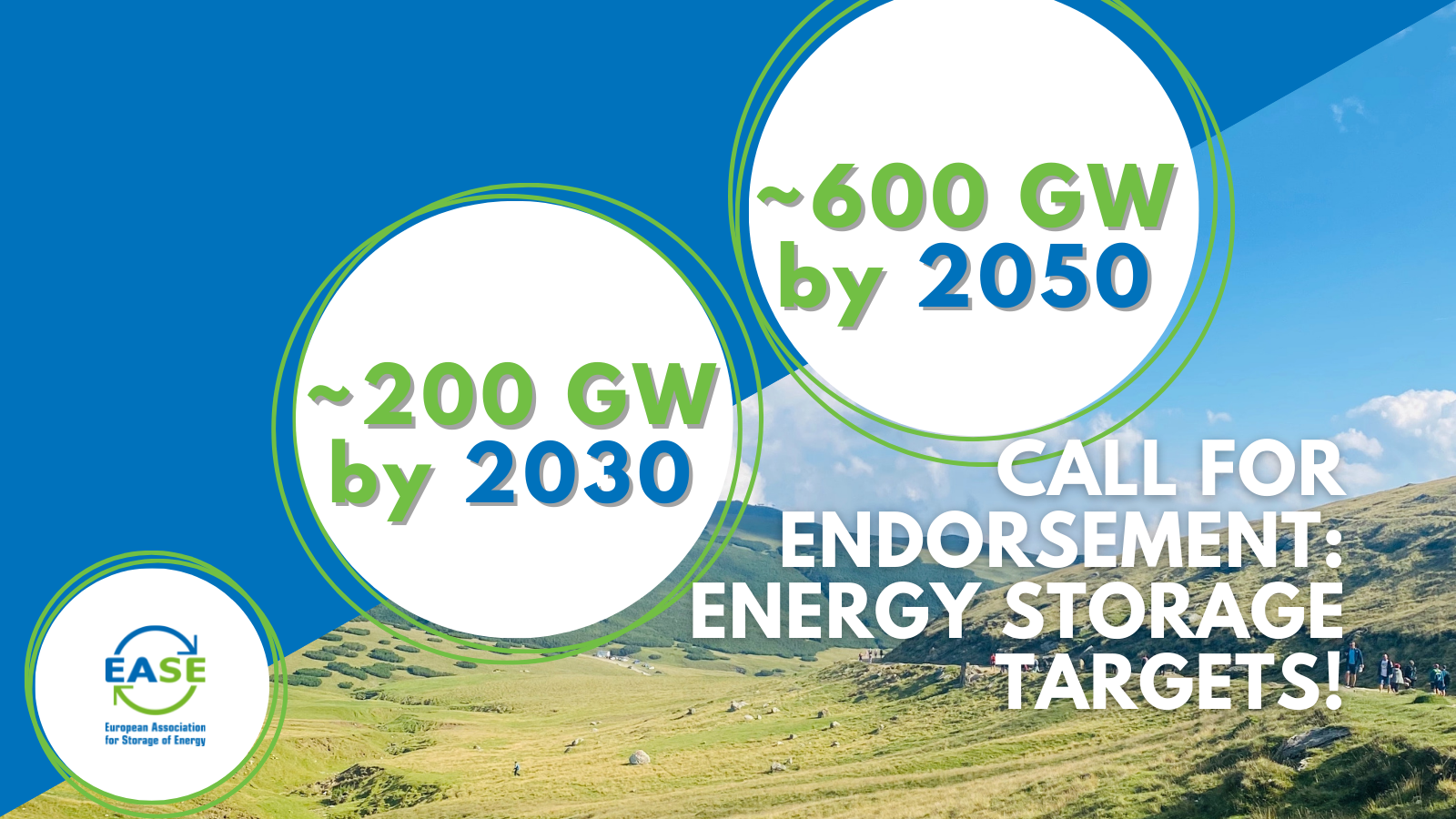 Call for Endorsement: Energy Storage Targets!