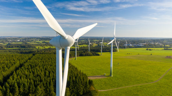EASE Briefing on the Action Plan for Affordable Energy